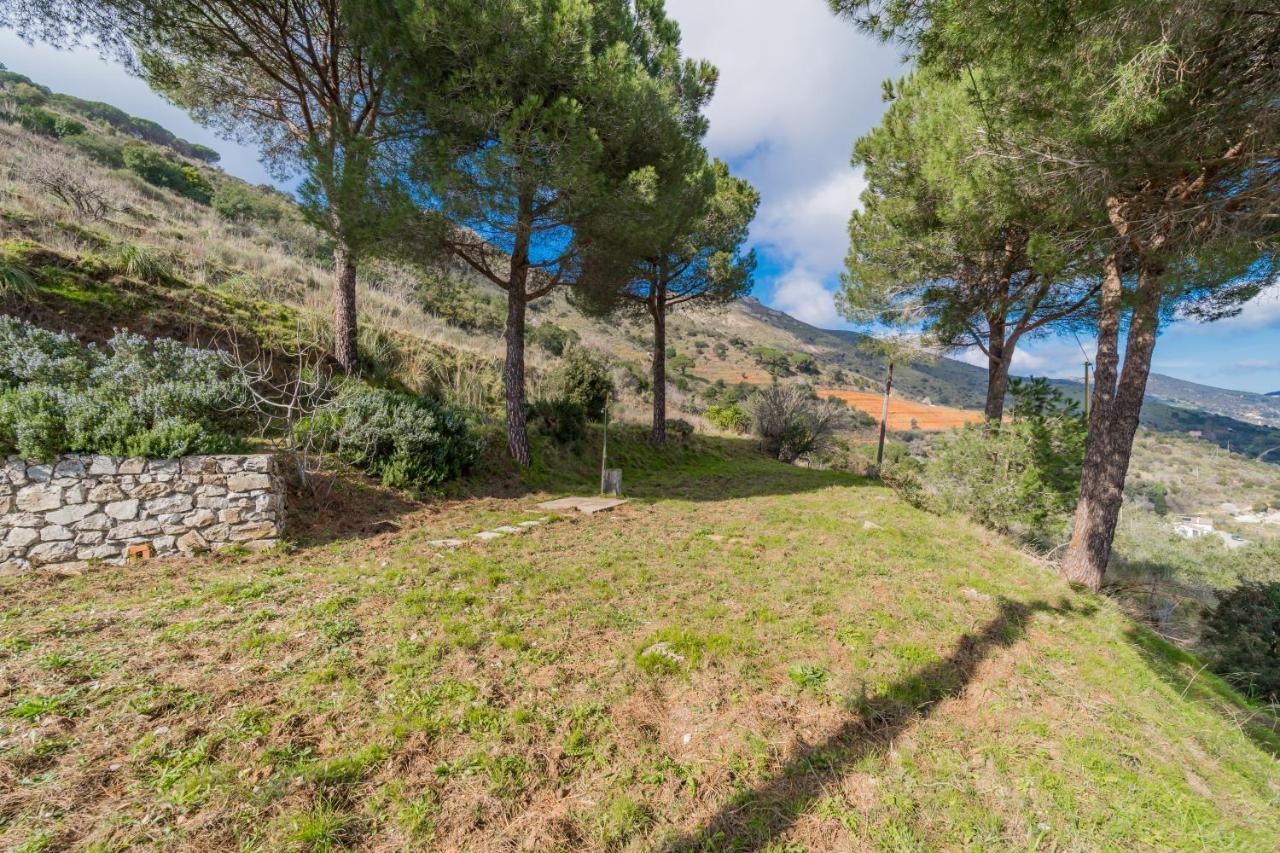 Villa Campo Al Pero Rio Marina Esterno foto